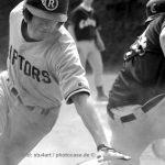 Baseball Spieler